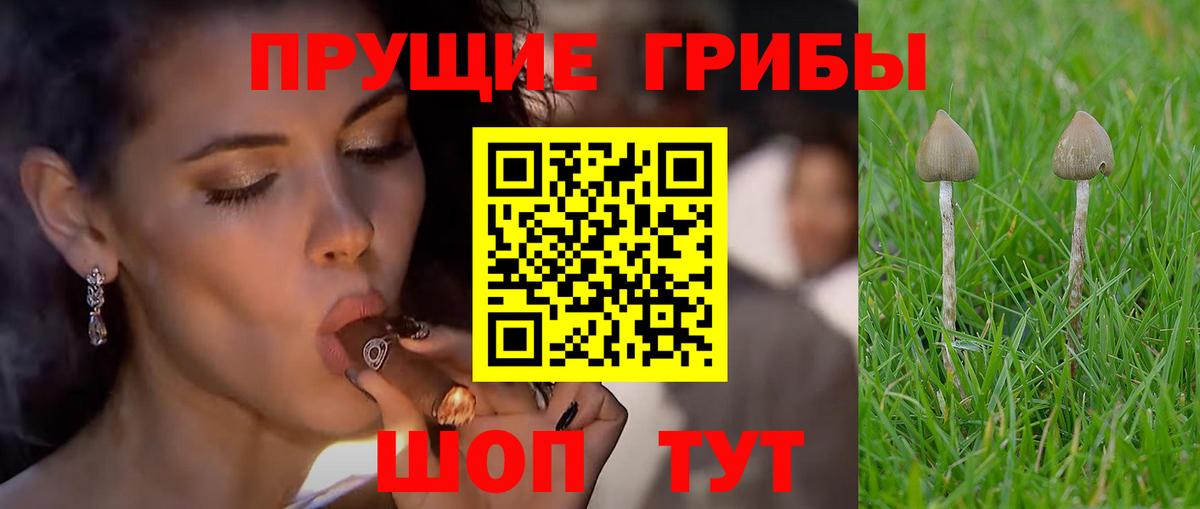 Рыбинск  Галлюциногенные грибы GOLDEN TEACHER  Галлюциногенные грибы MAGIC MUSHROOMS  Вход с VPN 